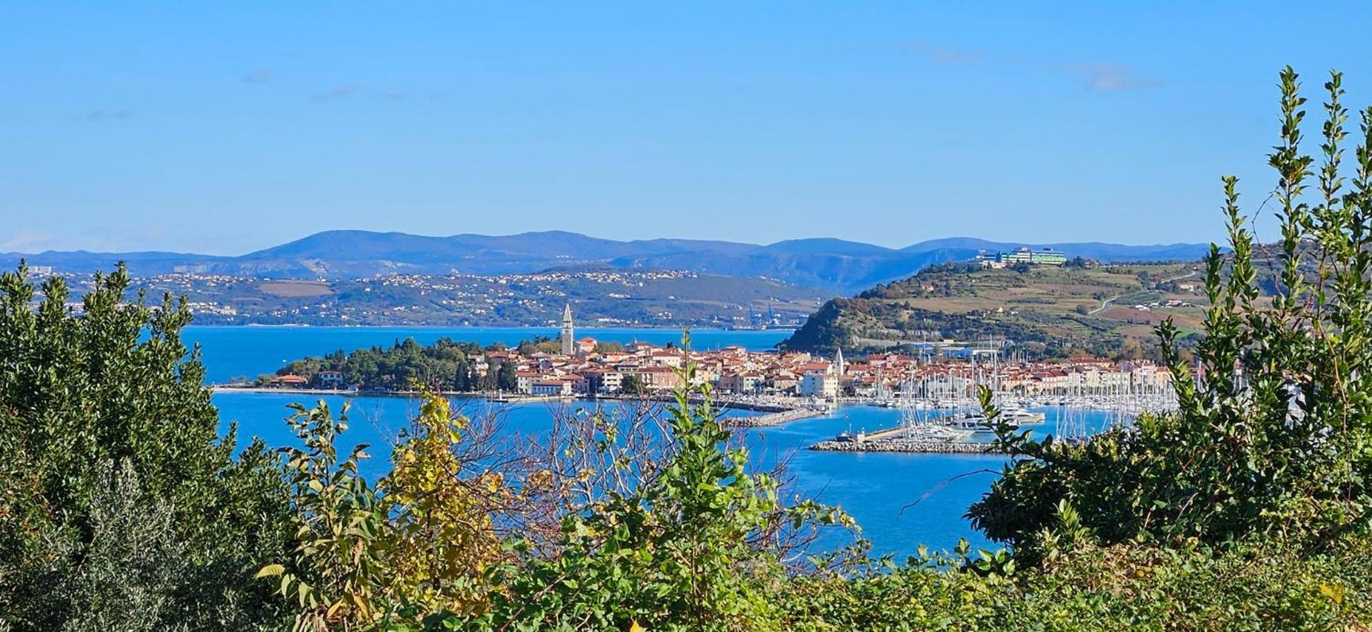 Apartment Laguna 08A Izola Eksteriør billede